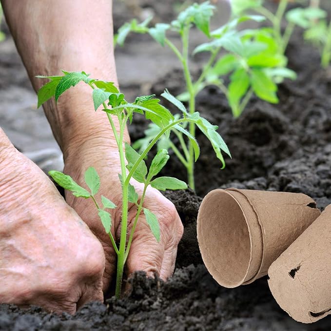 homenote Peat Pots, Round Nursery Plant Pots - Image 2