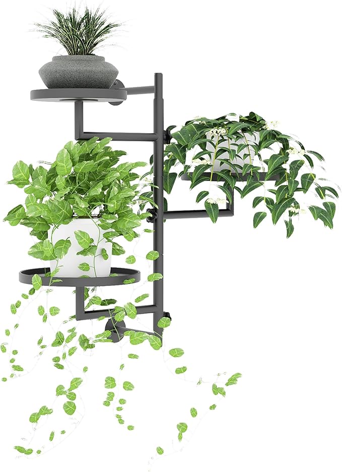 Rotating Wall Plant Shelves Plant Shelf - Image 7