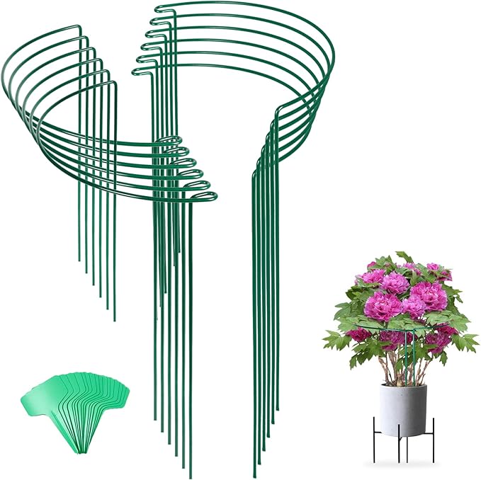 Joyhalo 12 Pack Tall Snake Plant Support Stakes by Joyhalo