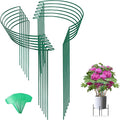 Joyhalo 12 Pack Tall Snake Plant Support Stakes by Joyhalo