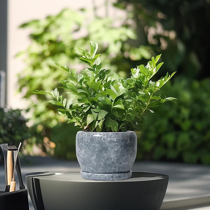 SQOWL 6 Inch Plant pots Indoor - Image 4
