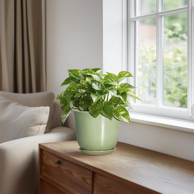 5.6 Inch Plant Pot - Image 5