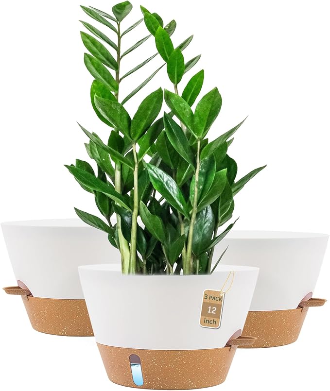 12-Inch Self Watering Planters by FIASON