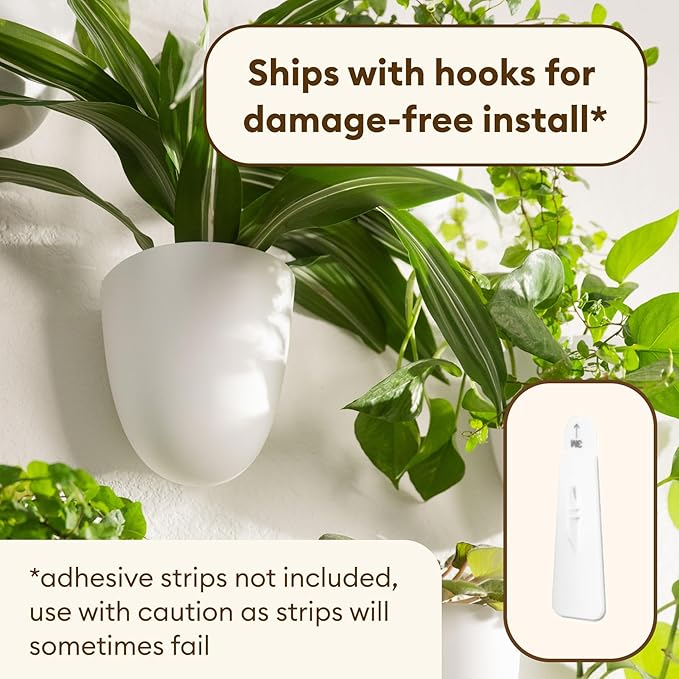 PlantPod Classic - Image 4