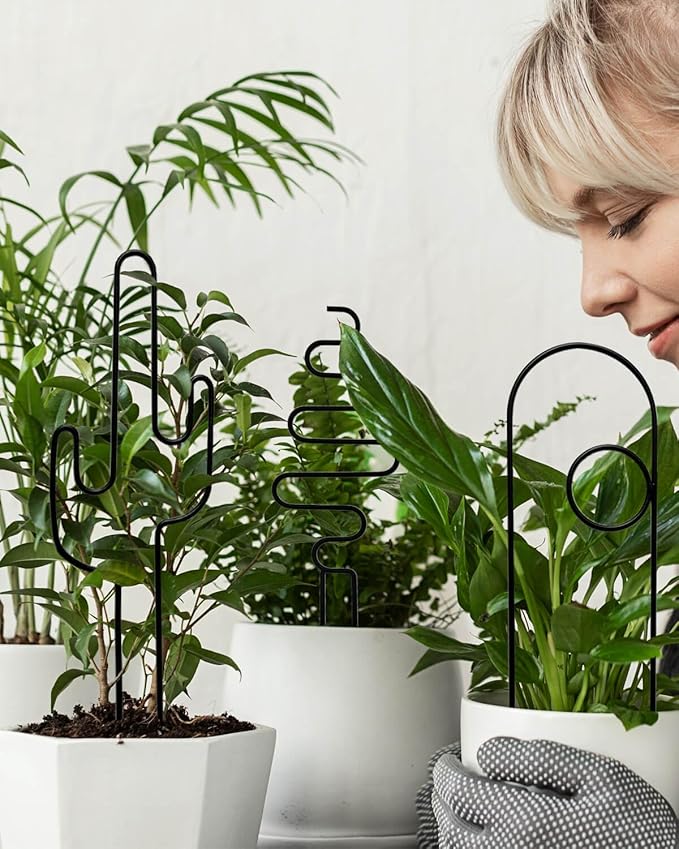 Small Plant Trellis for Climbing Plants Indoor - Image 2