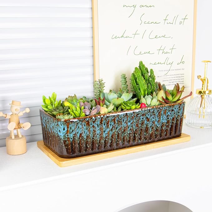 Succulent Pots - 12 Inch Large Succulent Planters - Image 4