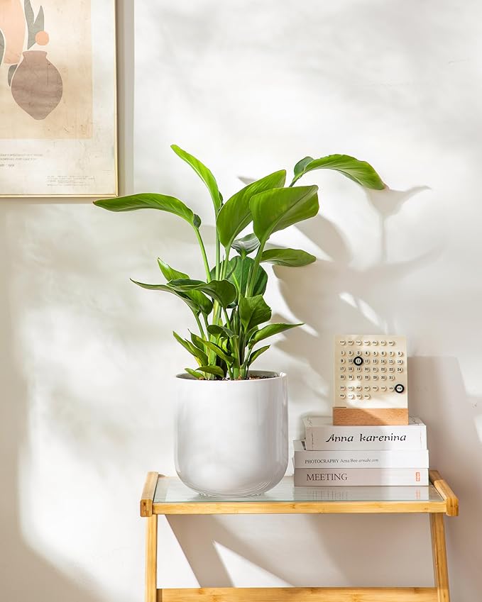 vancasso 8 Inch Ceramic Plant Pots, Planters - Image 8