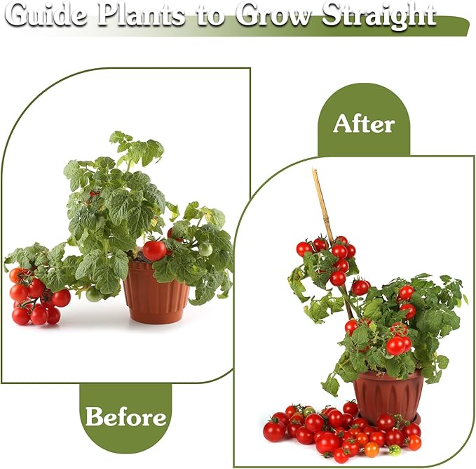 Plant Stakes 16inch, HAINANSTRY Plant Support Stakes - Image 6