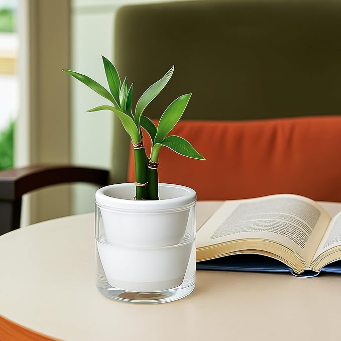 D'vine Dev 4 Inch Design Self Watering Planter - Image 2