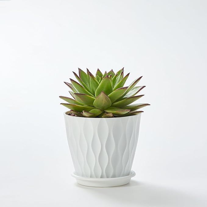 FaithLand 6-Pack 6-Inch Plastic Plant Pots - Image 7