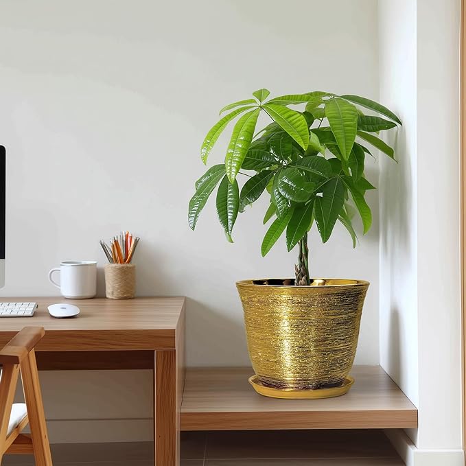 Ceramic Planter - Image 7