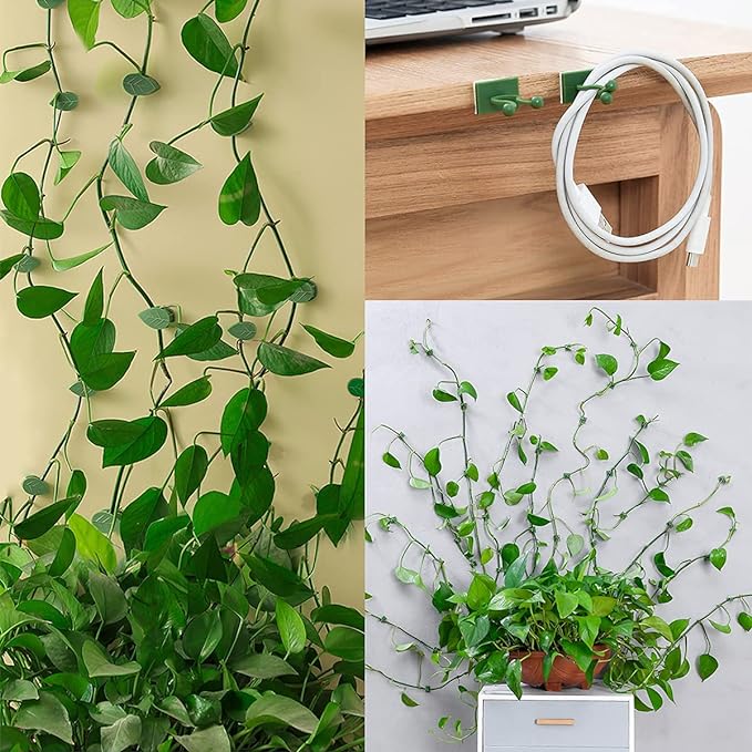 100 Pcs Plant Climbing Wall Fixture Clips Self-Adhesive Hook Vines Traction - Image 4