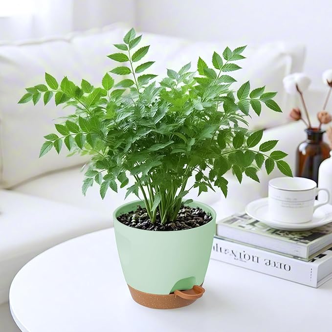 5-Pack Plant Pots with Drainage - Image 7