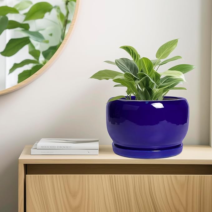 SQOWL Ceramic Plant Pot - Image 7