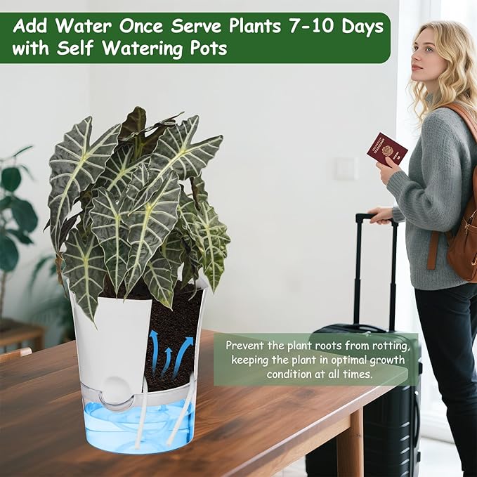 KIMCHOMERSE Self Watering Plant Pots, 6 Inch Orchid Pots, 3 Pack Flowers Pot - Image 6