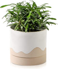 Nihow Ceramic Plant Pot: 6 Inch Planter by Nihow