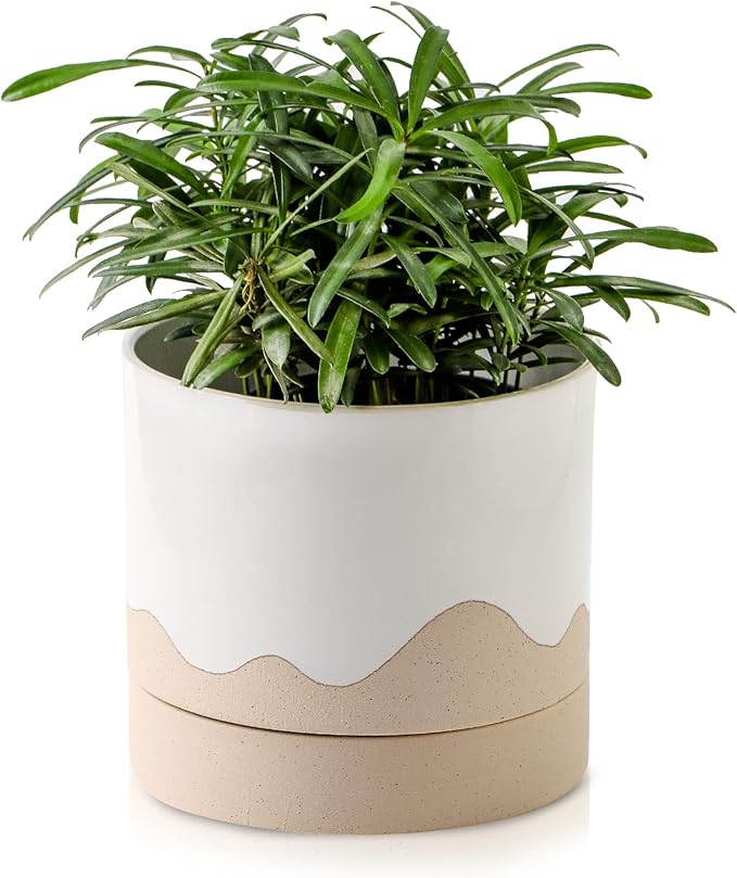 Nihow Ceramic Plant Pot: 6 Inch Planter by Nihow