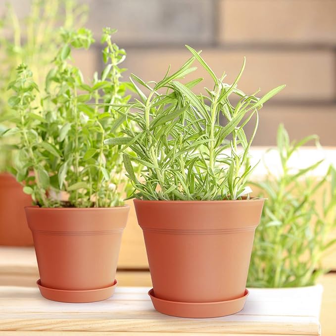 homenote Pots for Plants, 15 Pack 6 Inch Plastic Planters - Image 7