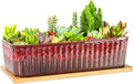 Succulent Pots - 12 Inch Large Succulent Planters by ARTKETTY