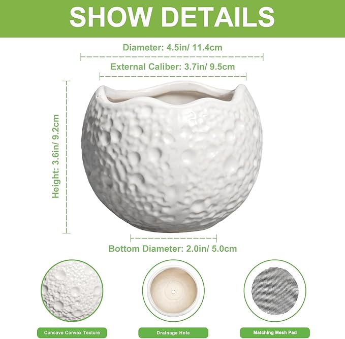4 inch Plant Pots - Image 2