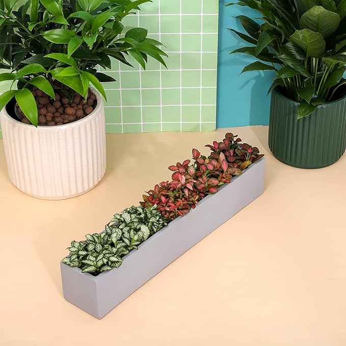 14.5-Inch Grey Rectangle Concrete Succulent Planter Windowsill Boxes - Image 3