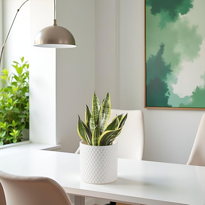 Docrin Ceramic Planters Indoor, 8 Inch Plant Pot - Image 6