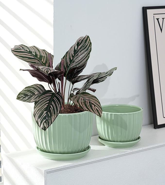 Ton Sin Flower Pots, Light Green Ceramic Plant Pots Set of 3, Small Glazed - Image 5