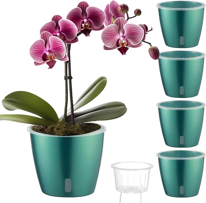 Self Watering Pots for Indoor Plants, Small African Violet Pots by KvyusFlourish