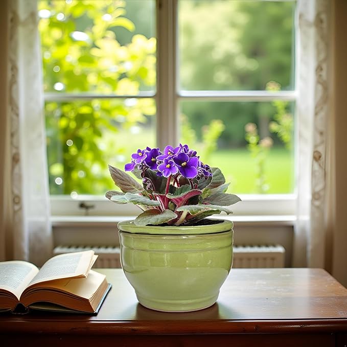 African Violet Pots Self Watering Round Ceramic Violet Pot - Image 7