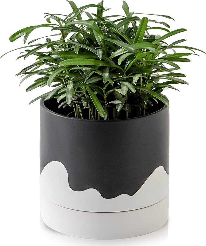 Nihow Ceramic Plant Pot: 6 Inch Planter by Nihow