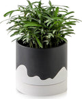 Nihow Ceramic Plant Pot: 6 Inch Planter by Nihow