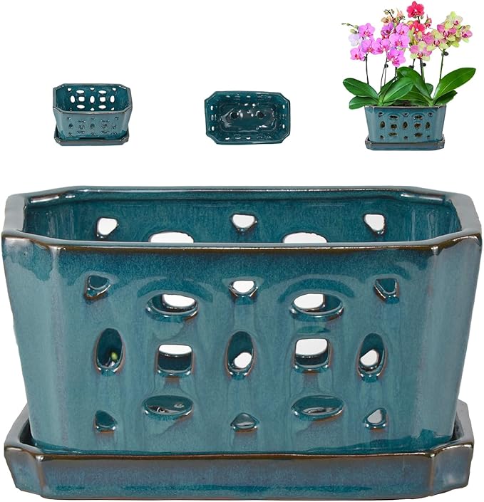 W&W Orchid Pot with Holes and Saucer by WWHomeDecor