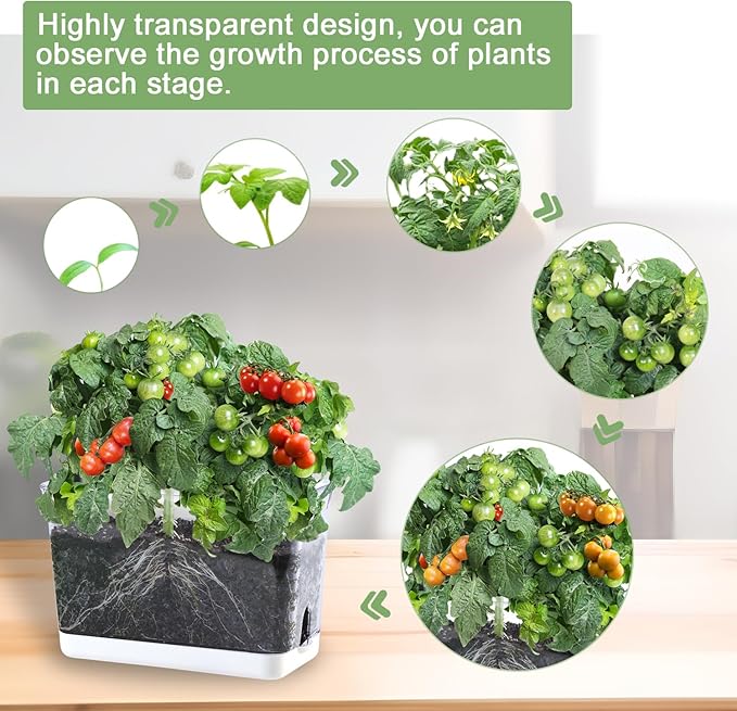 Self Watering Planters - Image 5