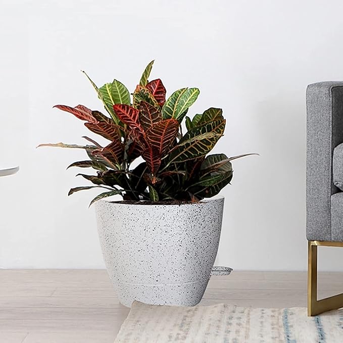 Large Self Watering Pots, 12/10/9 Plastic Planters - Image 7