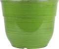 Garden Elements Indoor/Outdoor Glazed Brushed Happy Plastic Planter, Dark Green by GardenElements