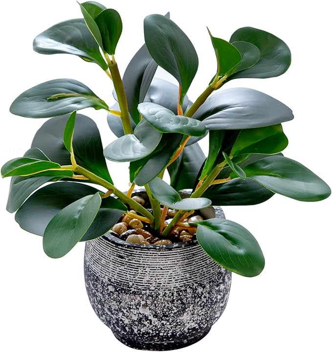 AlphaAcc Artificial Plants Potted Real Looking Small Faux Plant by AlphaAcc
