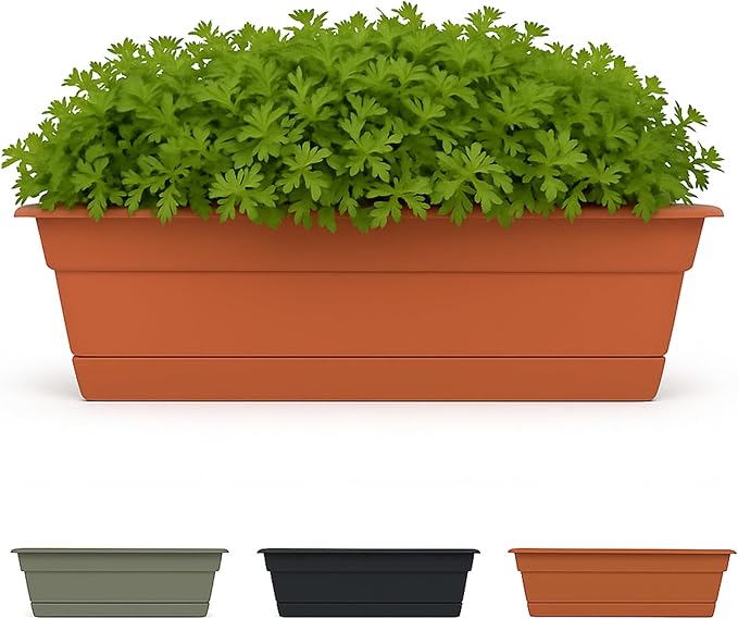 Bloem Dura Cotta Window Box Planter: 30" by Bloem
