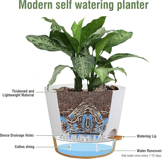 12 inch Large Self Watering Pots - Image 4