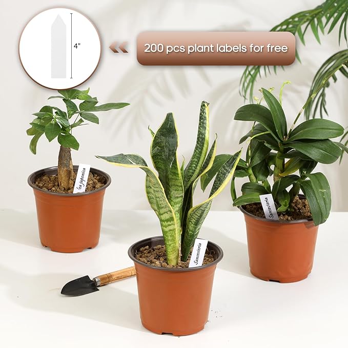 200 Pack 6 Inch Plastic Nursery Pots - Image 4