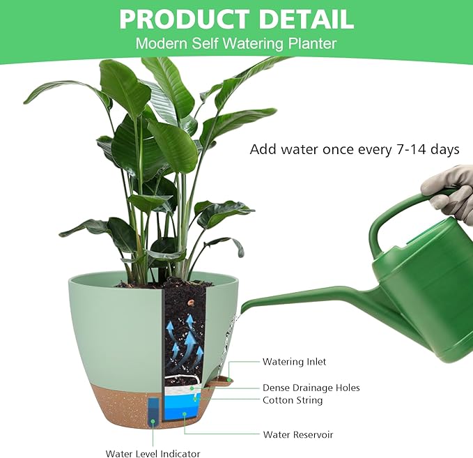 12" 10" 9" 8" Self Watering Pots - Image 6
