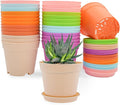 4 inch Plant Pots, 28 Pack Small Plastic Planters by SwinDuck