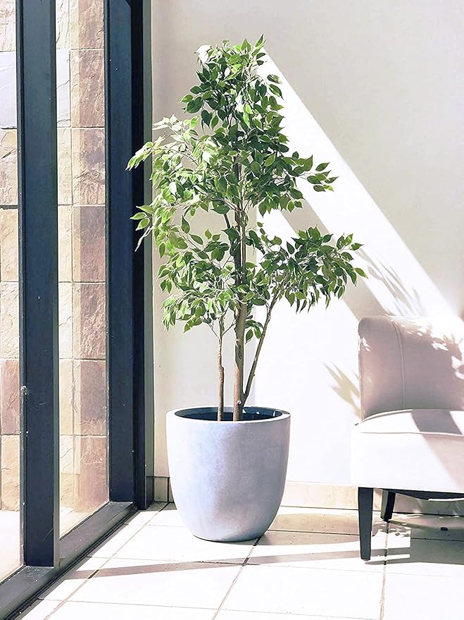 Kante 14 Inch Dia Round Concrete Planter, Indoor Outdoor Large Plant Pot - Image 6