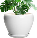 Ceramic Pot for Plants by Ceramicfor