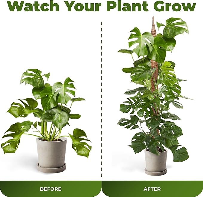 2 Pack 48'' Bendable Moss Pole Monstera Plant Support - Image 5