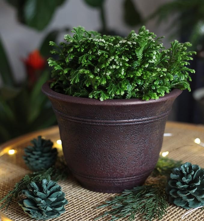 The HC Companies Sierra Round Self-Watering Pot - Image 3