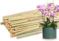 50Pcs / 16 inch Bamboo Plant Stakes by Avalution