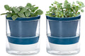 D'vine Dev 4 Inch Design Self Watering Planter by DvineDevPlanterPotsandStand