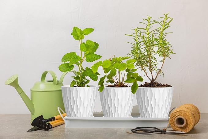 6 Inch Plant Pots, 6 Pack Indoor Flower Pots, Planters - Image 5