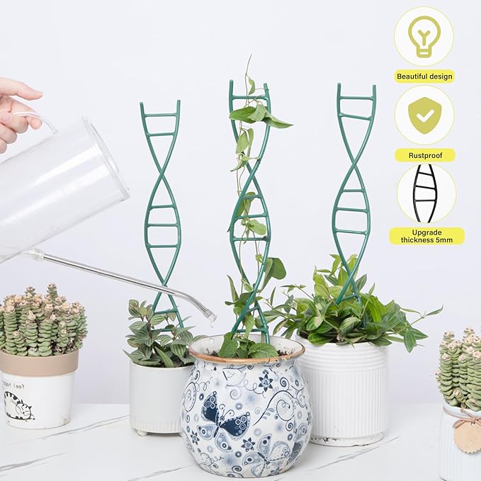 Indoor Plant Trellis for Potted Plants - Image 5