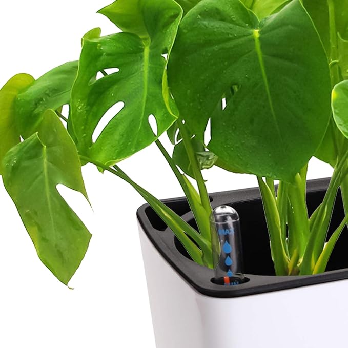 Fasmov 2 Pack Rectangle Self Watering Planter - Image 2